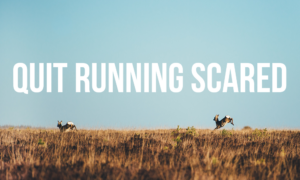 WOF - Quit Running Scared