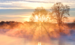 Lake and trees