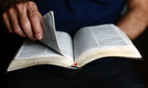 Person holding a bible