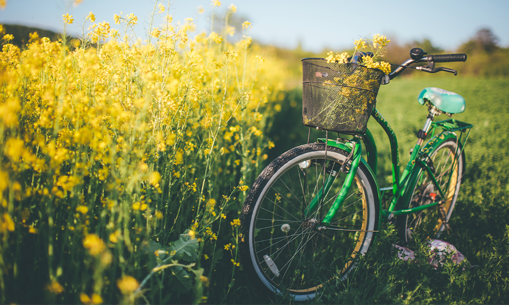 Bike and flowers